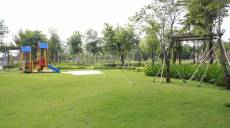 Tiểu thương có xu hướng mua nhà như thế nào?