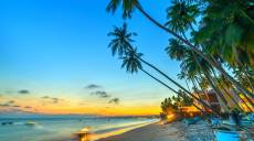 Second home sinh thái chuẩn xanh hợp thời vì người việt càng quan tâm sức khỏe