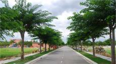 Năm 2017, đất nền ngoại ô sẽ đón sóng?