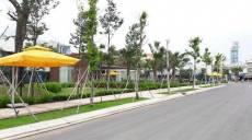 Làm thế nào để chọn đại lý môi giới BĐS phù hợp?