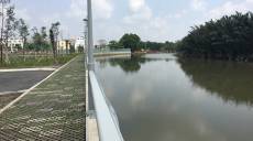 Sacomreal mở bán giai đoạn 2 Jamona Golden Silk