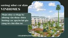 Sướng như cư dân Vinhomes: Nhận nhà cả thập kỷ vẫn có những tiện ích gia tăng từ Chủ đầu tư