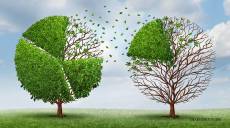 Hiểu rõ thế nào là Market Share