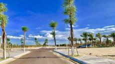 Nhơn Hội New City trở thành tọa độ vàng cho nhà đầu tư chiến lược